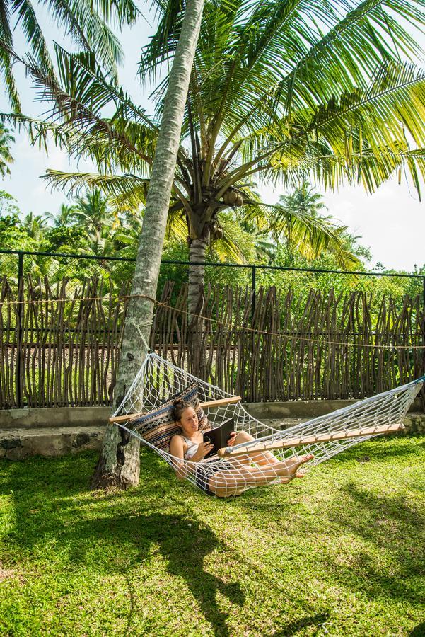 Lime & Co Hostel Велигама Экстерьер фото
